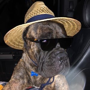 Meet your Posher, Charley